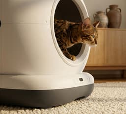 Productfoto van Zedar K1200 - Automatische Zelfreinigende Kattenbak met App