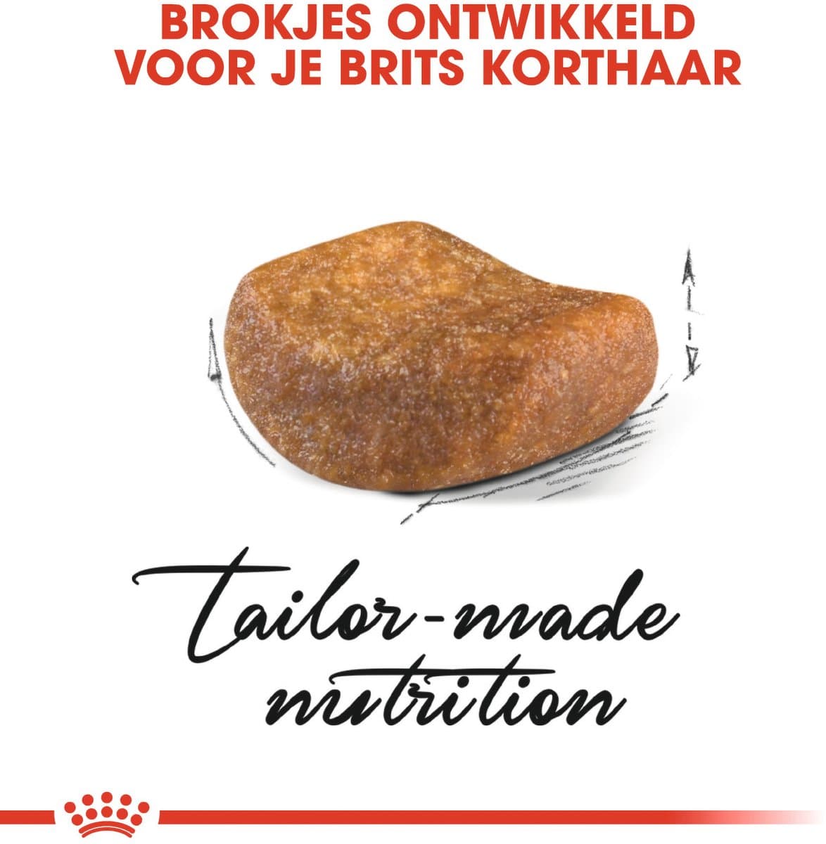 Royal Canin British Shorthair Adult: Speciaal kattenvoer voor sterke spieren thumbnail 4