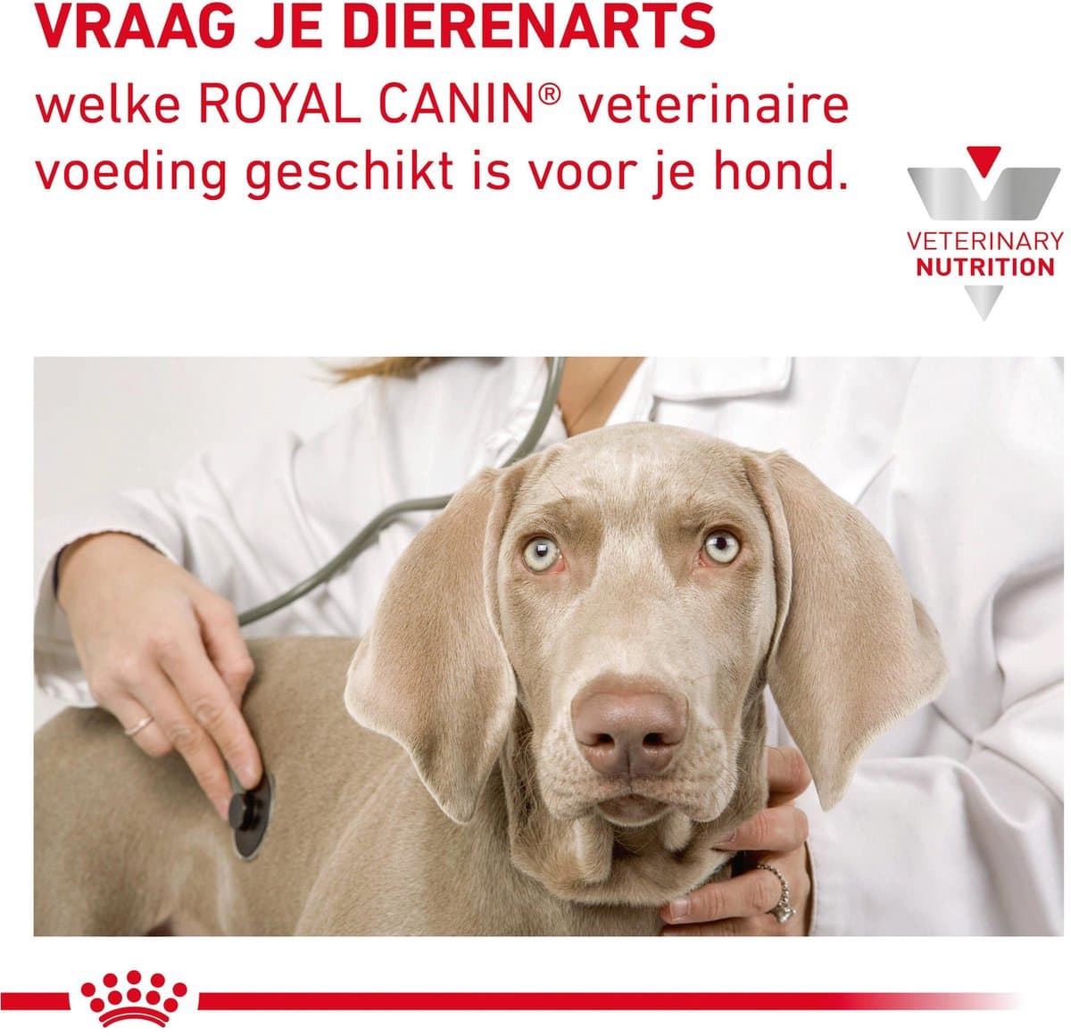 Royal Canin Veterinary Diet Gastro Intestinal Low Fat - Hondenvoer - 6 kg thumbnail 6