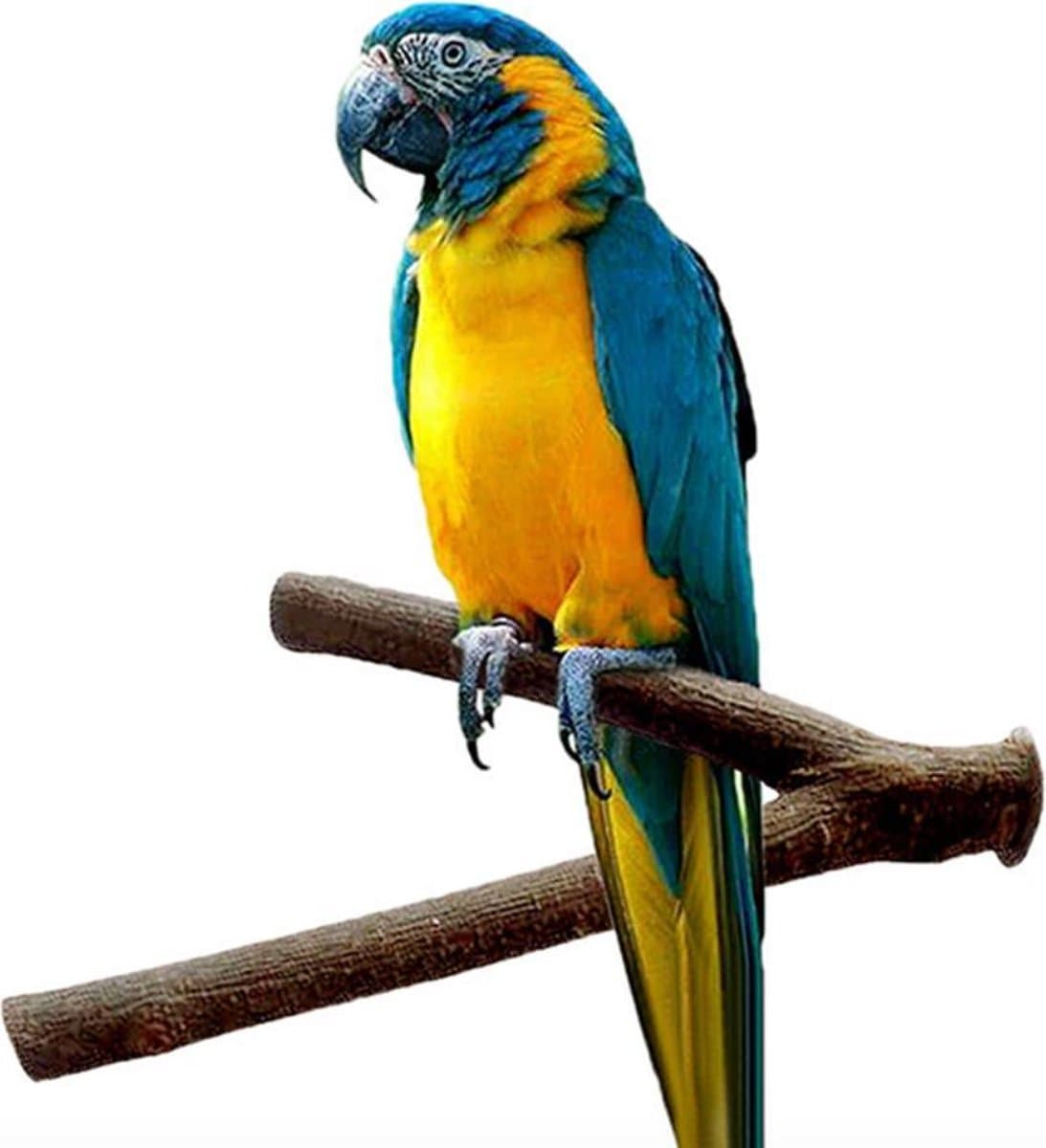 Hiden - Zitstok Vogel - Zitstokken Vogels - Parkiet - Vogelkooi - Huisdier accessoires - Vogels