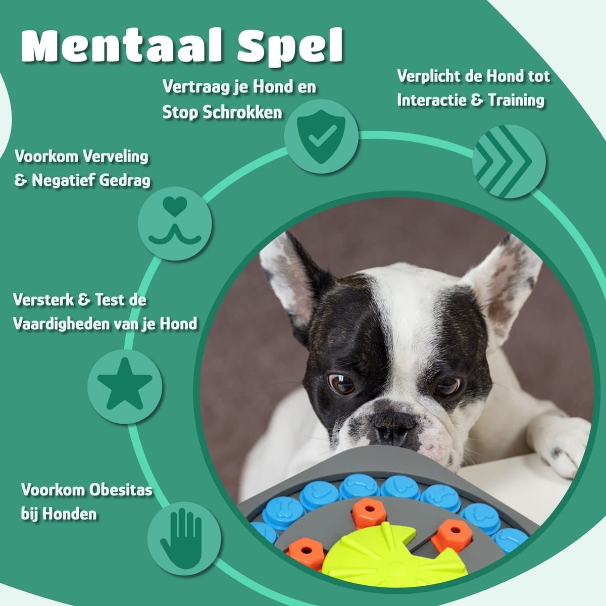 Mister Mill Puzzel Hond - Intelligentiespeelgoed Hond / Kat - Interactieve Hondenpuzzel - Denkspel Hond - Level 3 - Wiel van Woef - Interactieve Hond - Interactief Kattenspeelgoed - 35 x 35 CM thumbnail 2