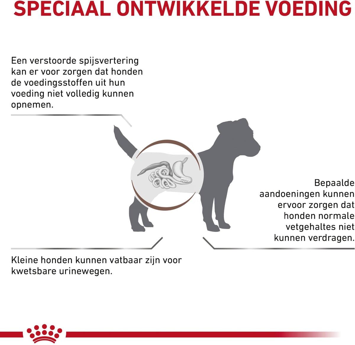 ROYAL CANIN Gastrointestinal - Hondenvoer - Laag Vet - Kleine Rassen - Gewicht Beheer thumbnail 5