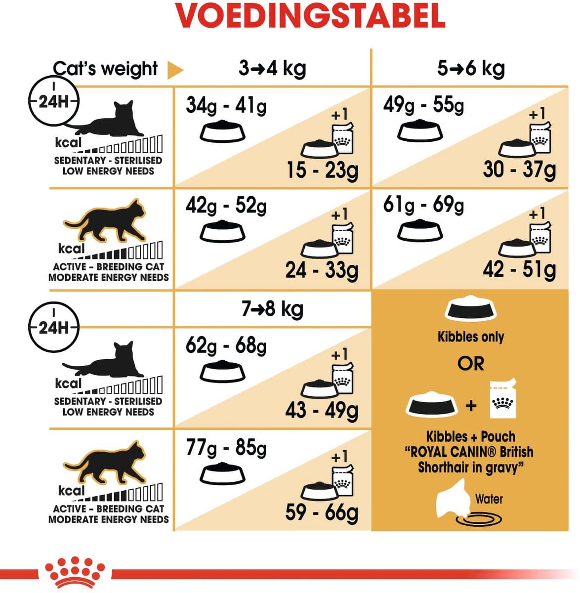 Royal Canin British Shorthair Adult: Speciaal kattenvoer voor sterke spieren thumbnail 3