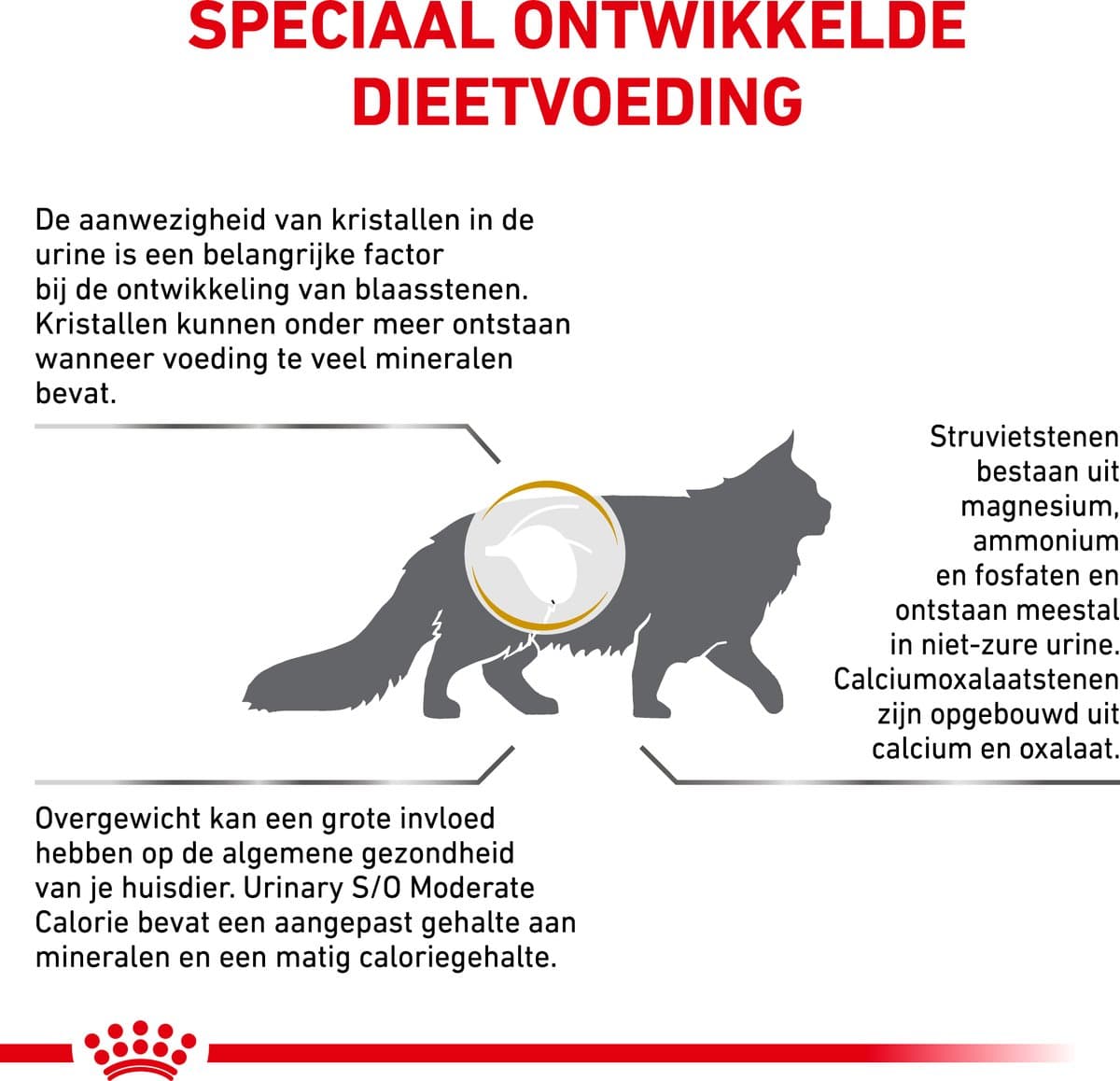 Royal Canin Urinary Moderate Calorie - Kat Droogvoer - 9kg - Ondersteuning van Urinaire Gezondheid - Laag Calorisch thumbnail 5