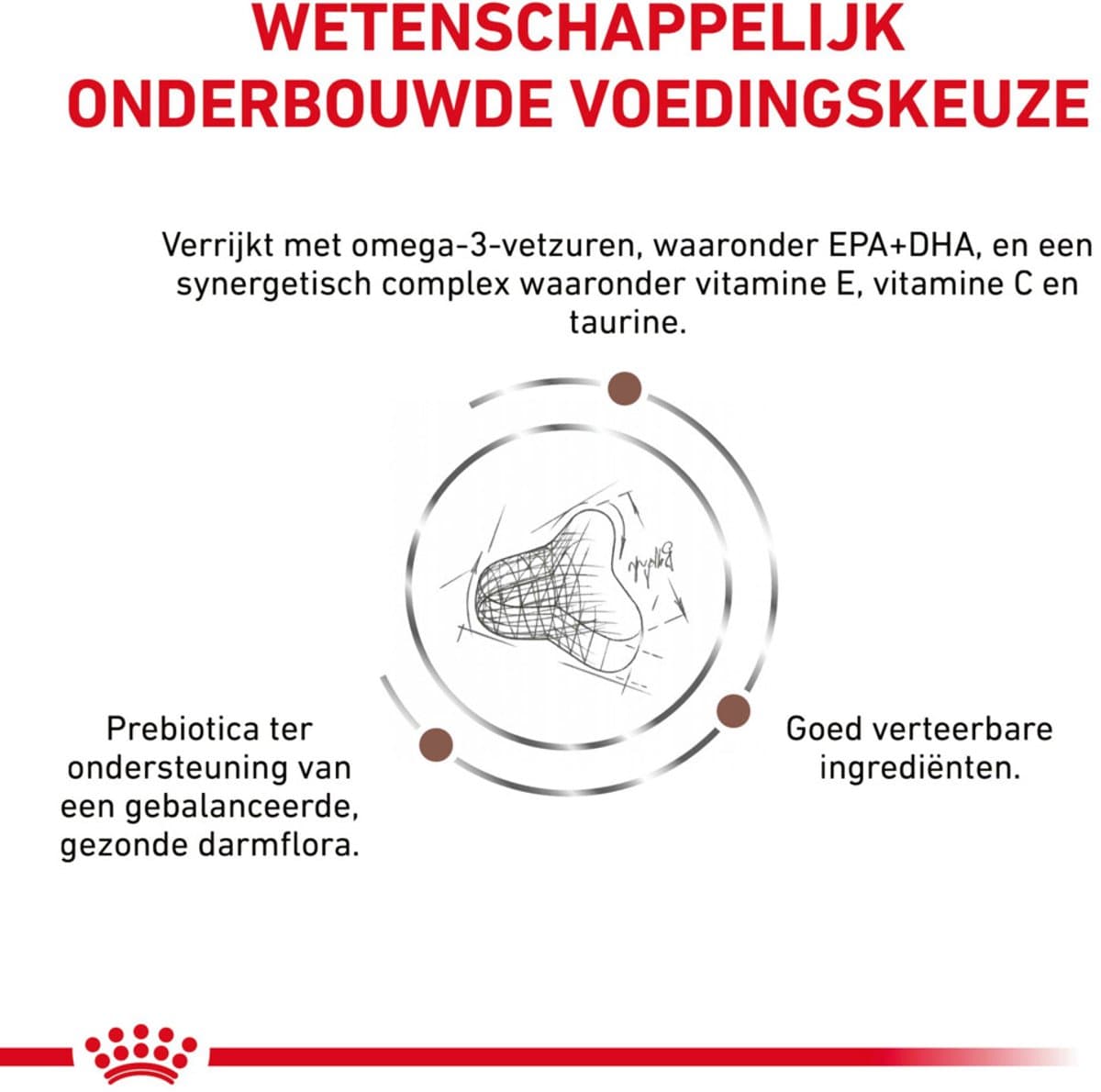 Royal Canin VHN Serie - Droogvoer Kat - Gastro Fibre Response - 4 kg thumbnail 4