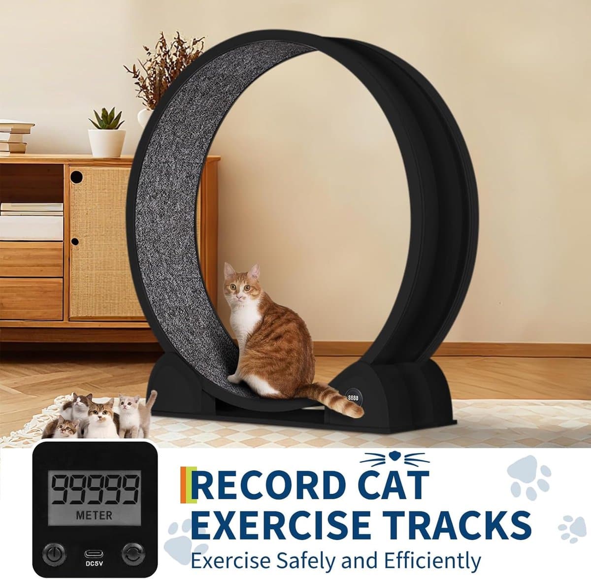 Kattenloopwiel met Stappenteller - Extra Groot (114 cm) - Fluisterstil ABS - Loopband Kat met Uitneembare Mat - Fitness & Gezondheid - Zwart thumbnail 6