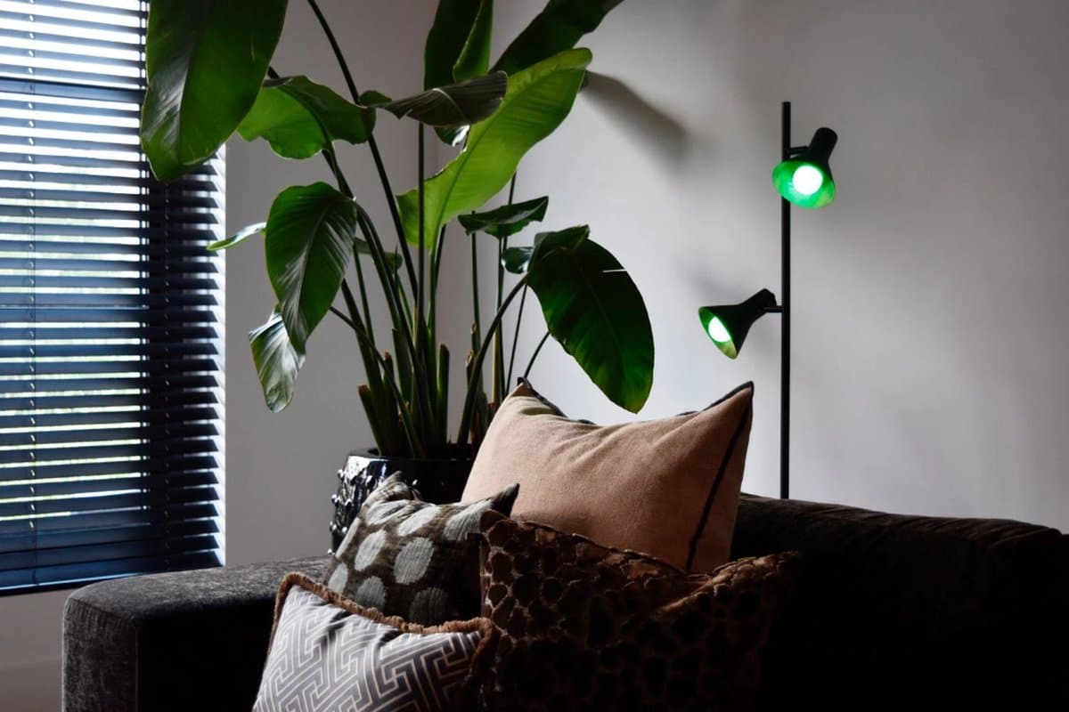 Calex Slimme Lamp - Wifi LED Verlichting - E14 - Smart Lichtbron - Dimbaar - RGB en Warm Wit licht - 4.9W thumbnail 5
