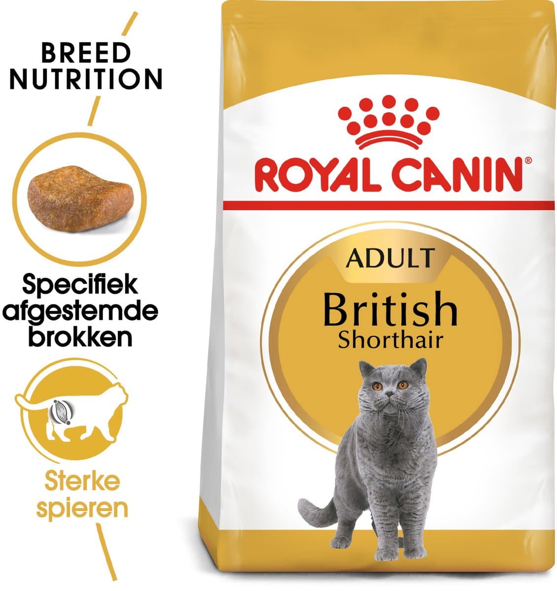 Royal Canin British Shorthair Adult: Speciaal kattenvoer voor sterke spieren thumbnail 6