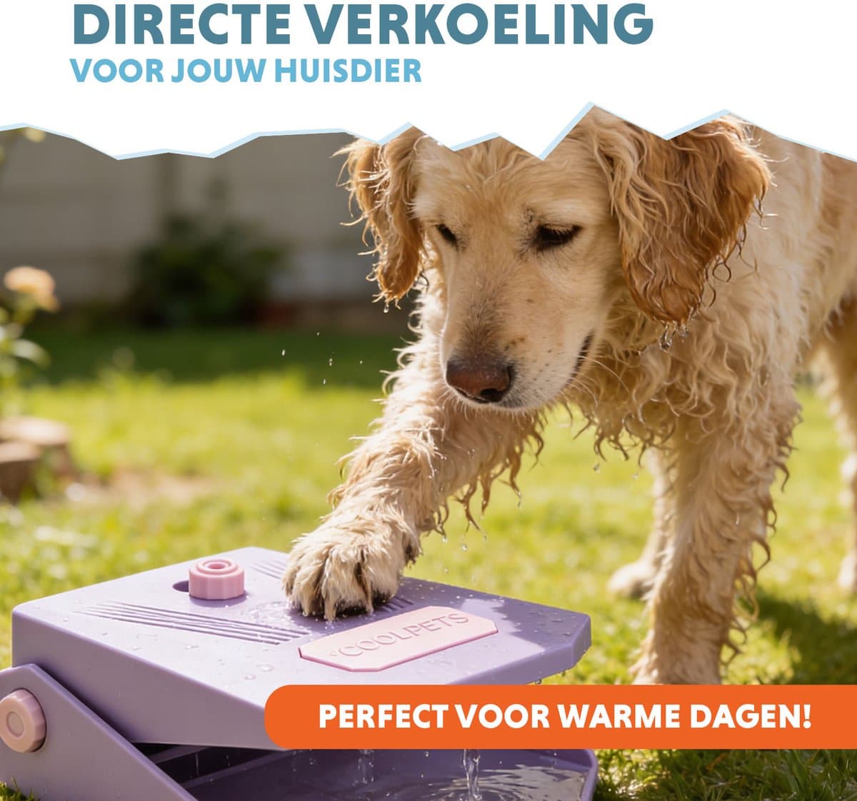 CoolPets Waterfontein Hond Tuinslang - Drinkfontein hond – Waterspeelgoed Hond - Verkoeling voor Honden - Splash Water Fountain - Lila thumbnail 2