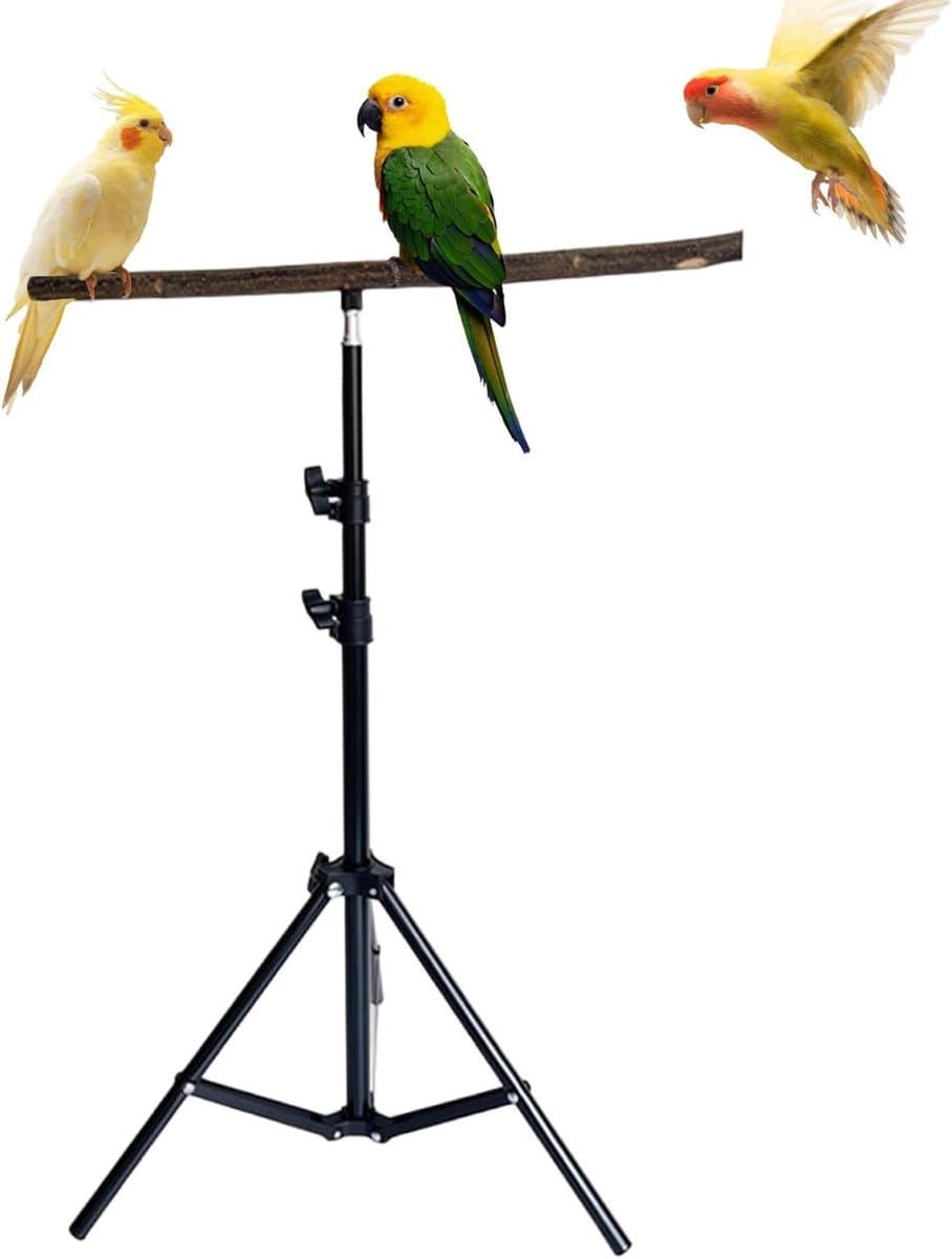Vogelstandaard Inklapbaar - Vogel Zitstok - Vogel Training - Verstelbaar Statief - 75 cm Hoog - Natuurlijk