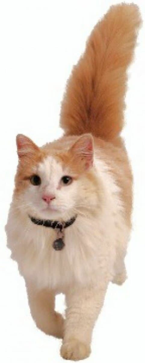 Petsafe 980 Kattenluik Magneetsleutel - Zilver thumbnail 6