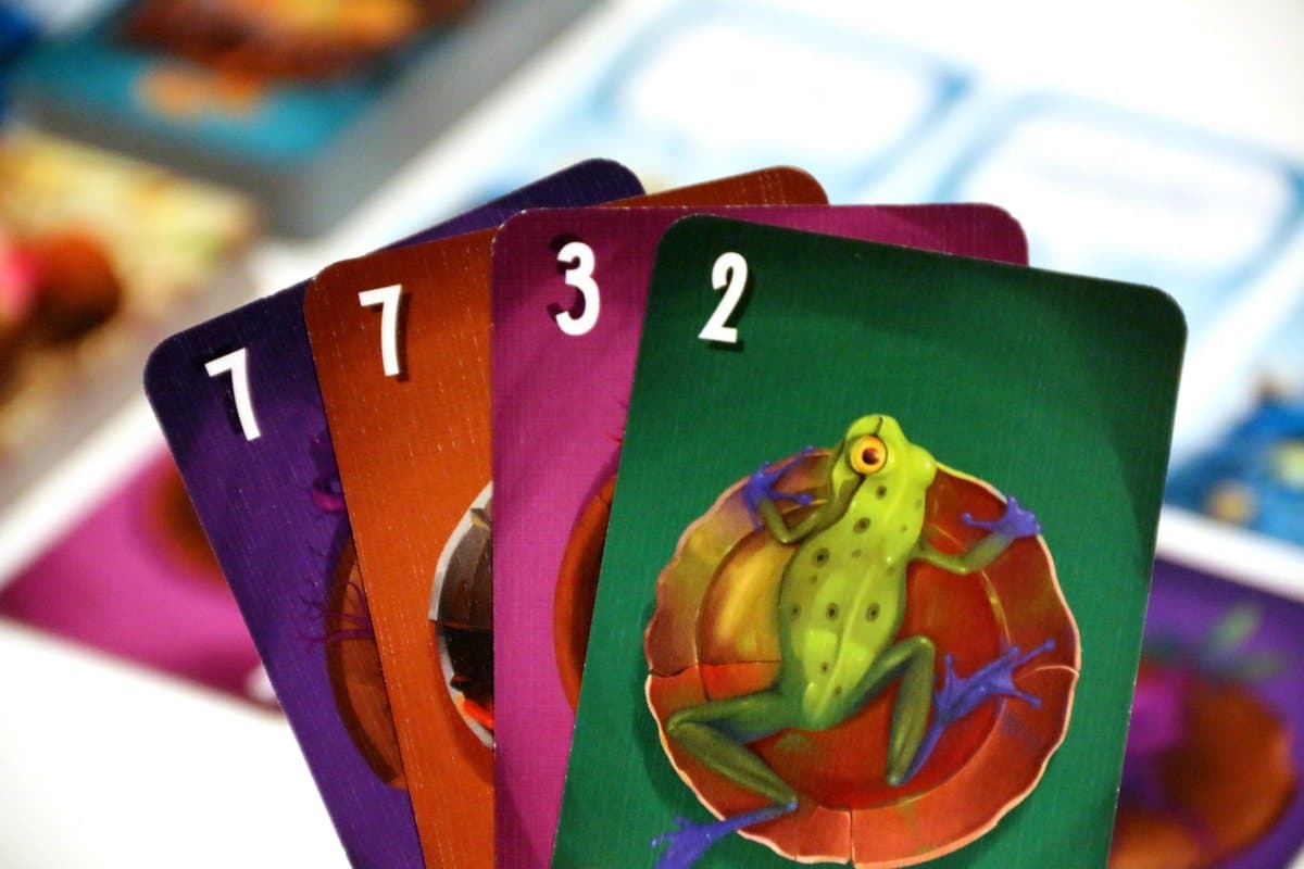 White Goblin Games Cahoots: coöperatief kaartspel thumbnail 8