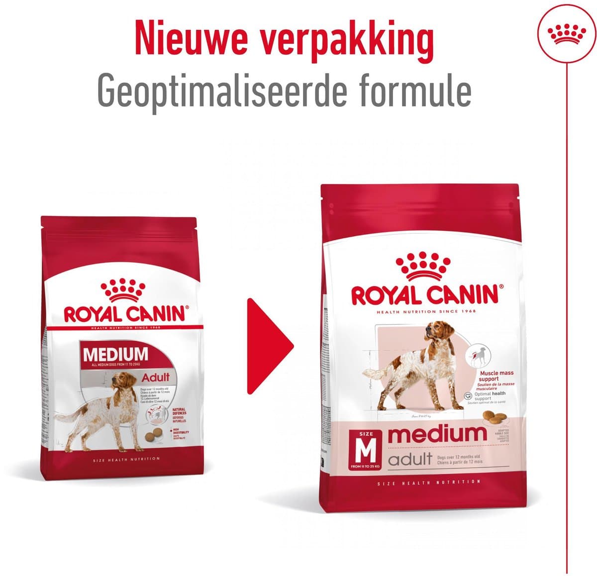 Royal Canin Medium Adult - 2 x 10 kg thumbnail 2