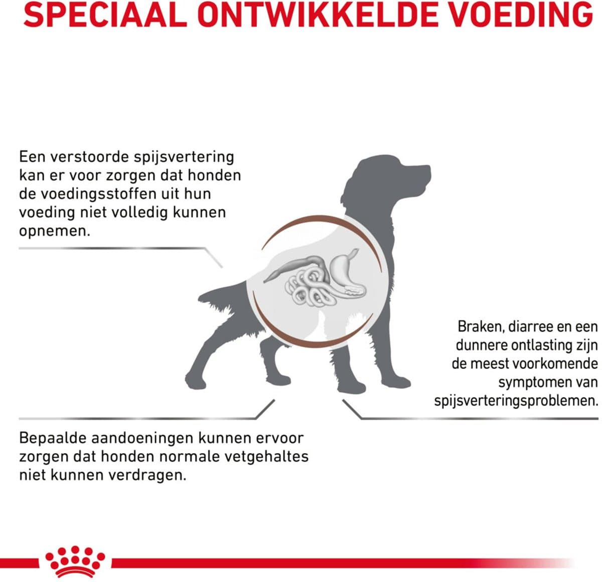 Royal Canin - Hondenvoer Nat Gastrointestinal Low Fat - 12 x 420 gr thumbnail 5