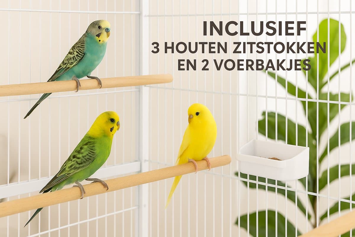 Volière Sumba – Taupe Binnenvolière voor Parkieten en Kanaries thumbnail 5