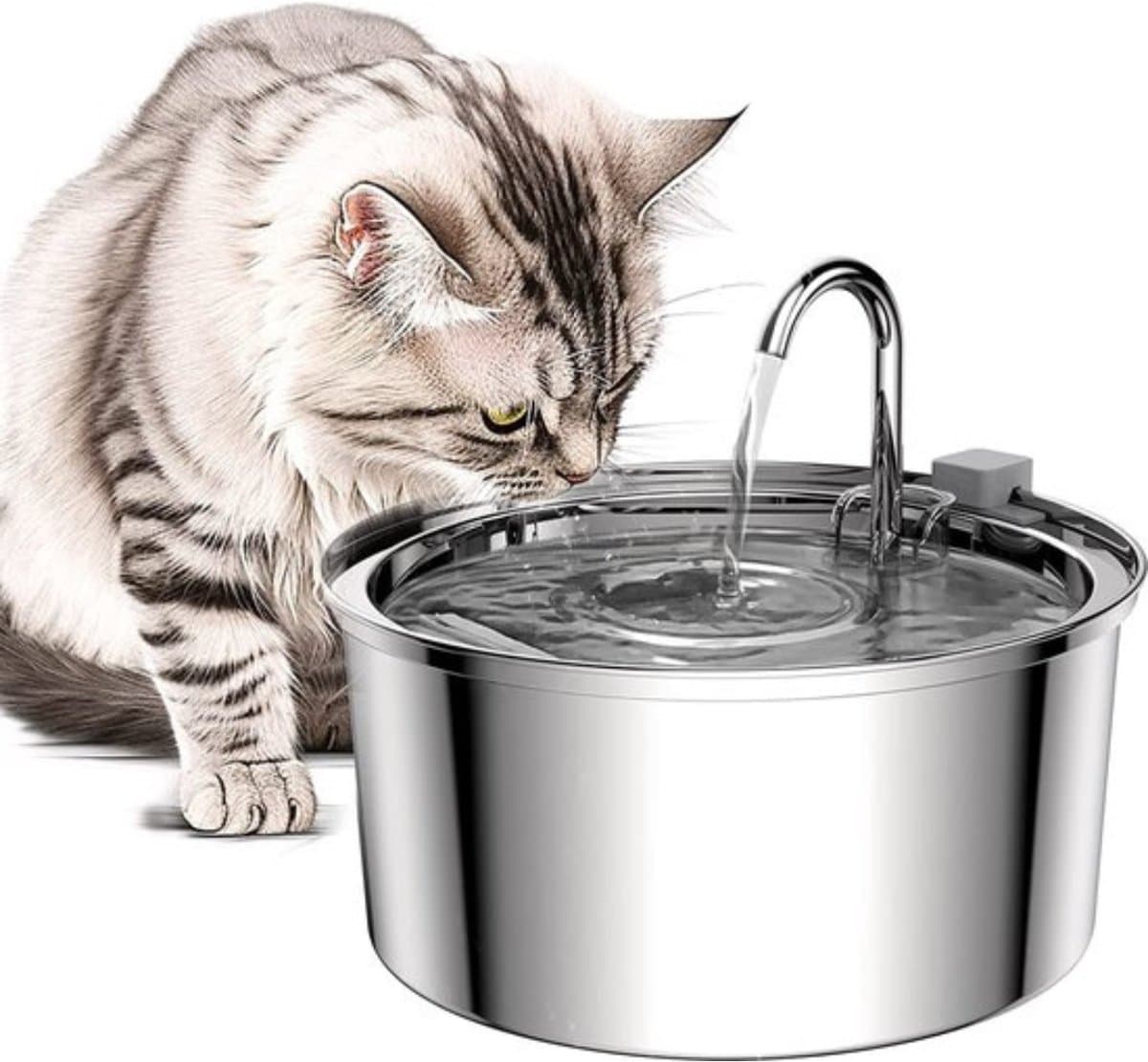 Caryota Katten Drinkfontein 3,2L RVS thumbnail 7