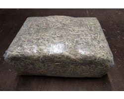 Timothy Hooi - Knaagdieren - Konijnen - Paarden - 4 kg