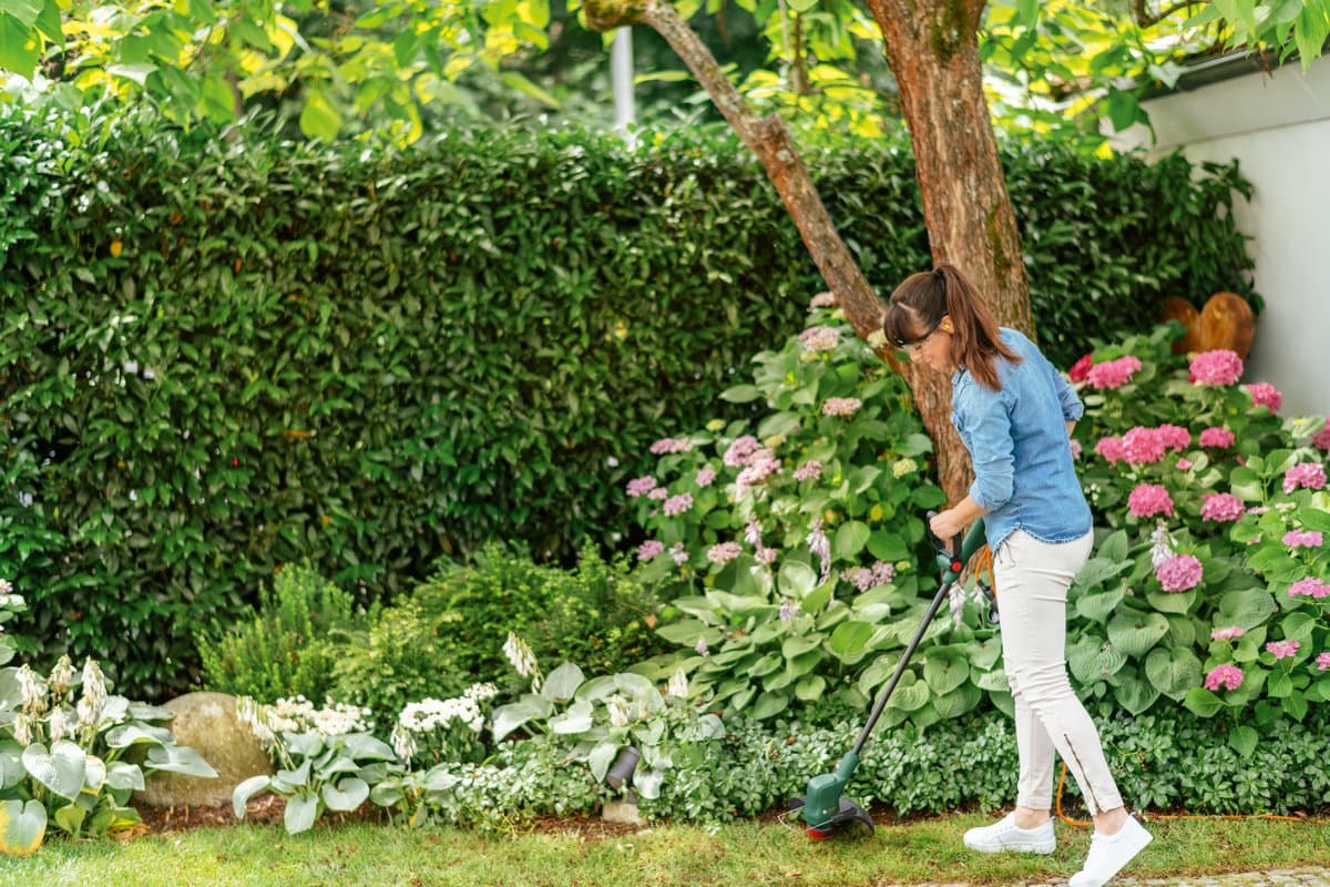 Bosch EasyGrassCut 26 - Grastrimmer - op snoer - Semi-Automatisch - 280 W - 79 dB thumbnail 5