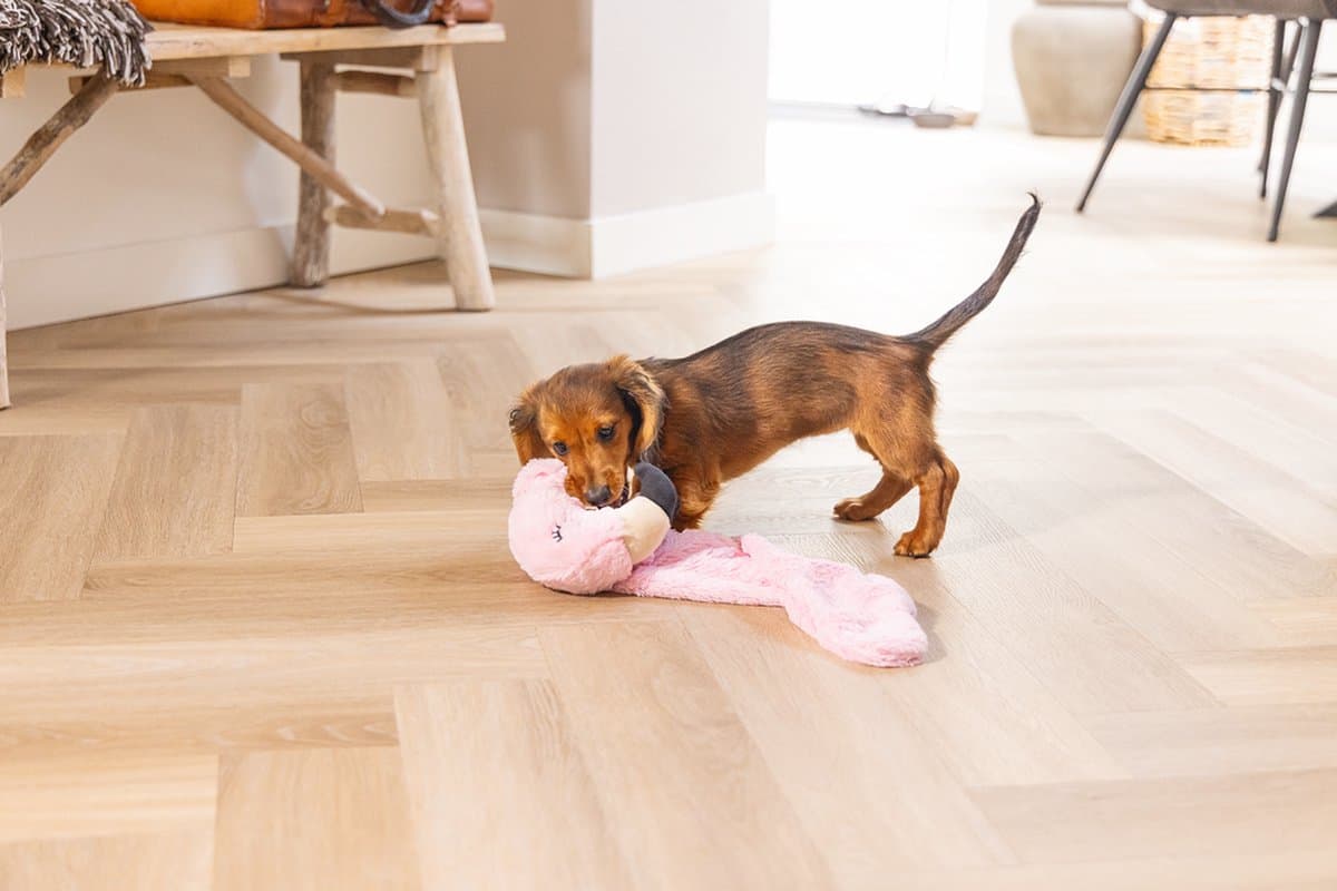 Beeztees Puppy Flatino Flamingo Fe - Puppy Speelgoed - Puppyknuffel - Hondenspeelgoed - Roze 72 x 27 x 5 cm - Hond thumbnail 7
