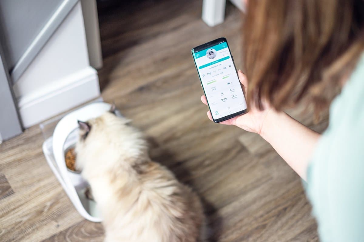 SureFeed Microchip Voerbak Connect - Kattenvoerbak - Met app voor controle - 21,5 x 22,7 x 31 cm - Wit thumbnail 5