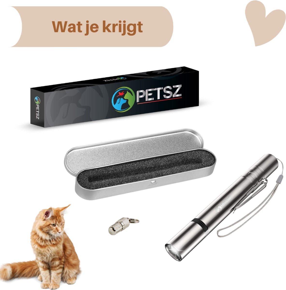 PETSZ Laserpen met 7 functies - Kattenspeeltjes - Kat - Laser - Kattenspeelgoed - RVS Opbergblikje thumbnail 6