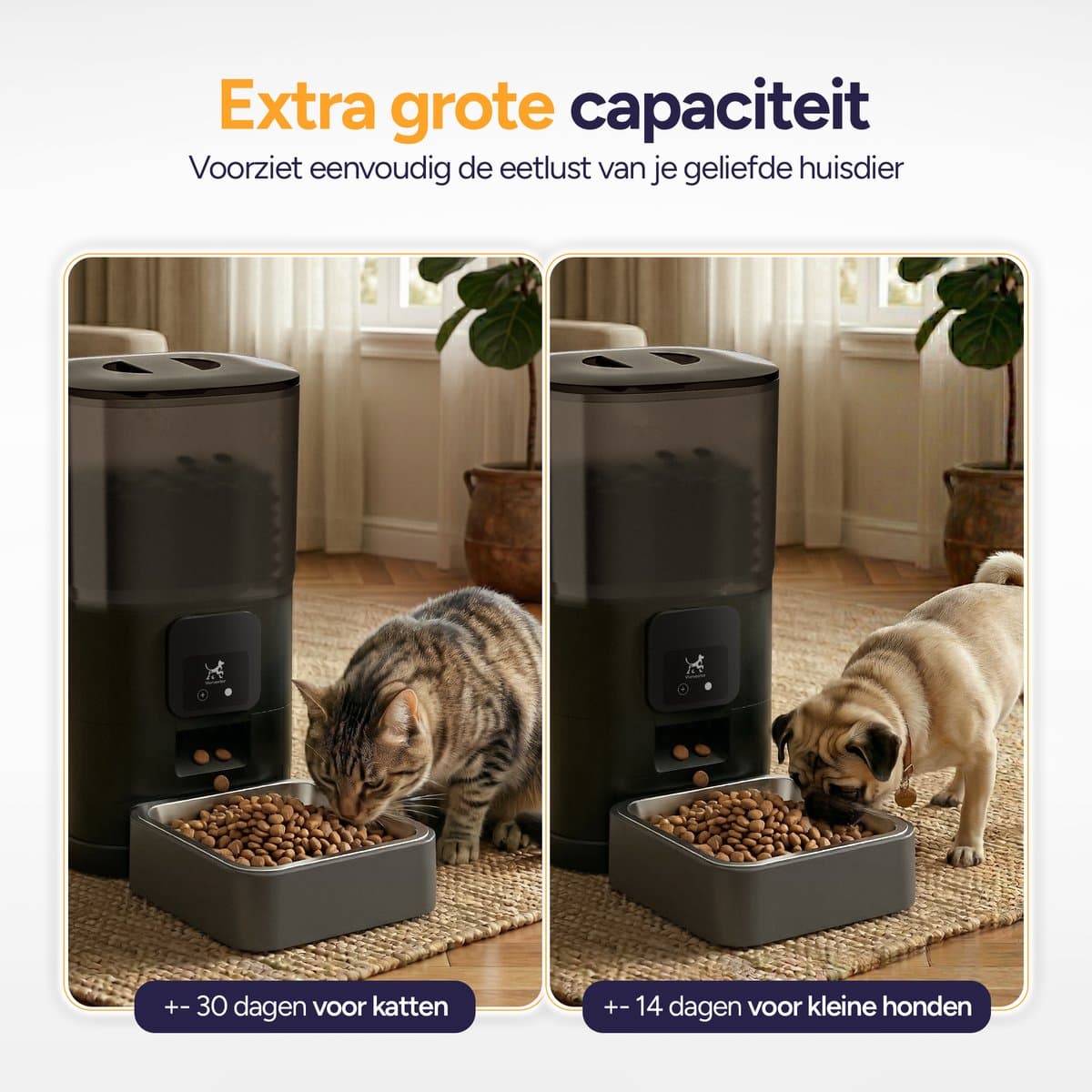 Viervoeter Feed - Automatische Voerbak 6L - Kat en Hond - Voerautomaat met App & Audio - Zwart thumbnail 6
