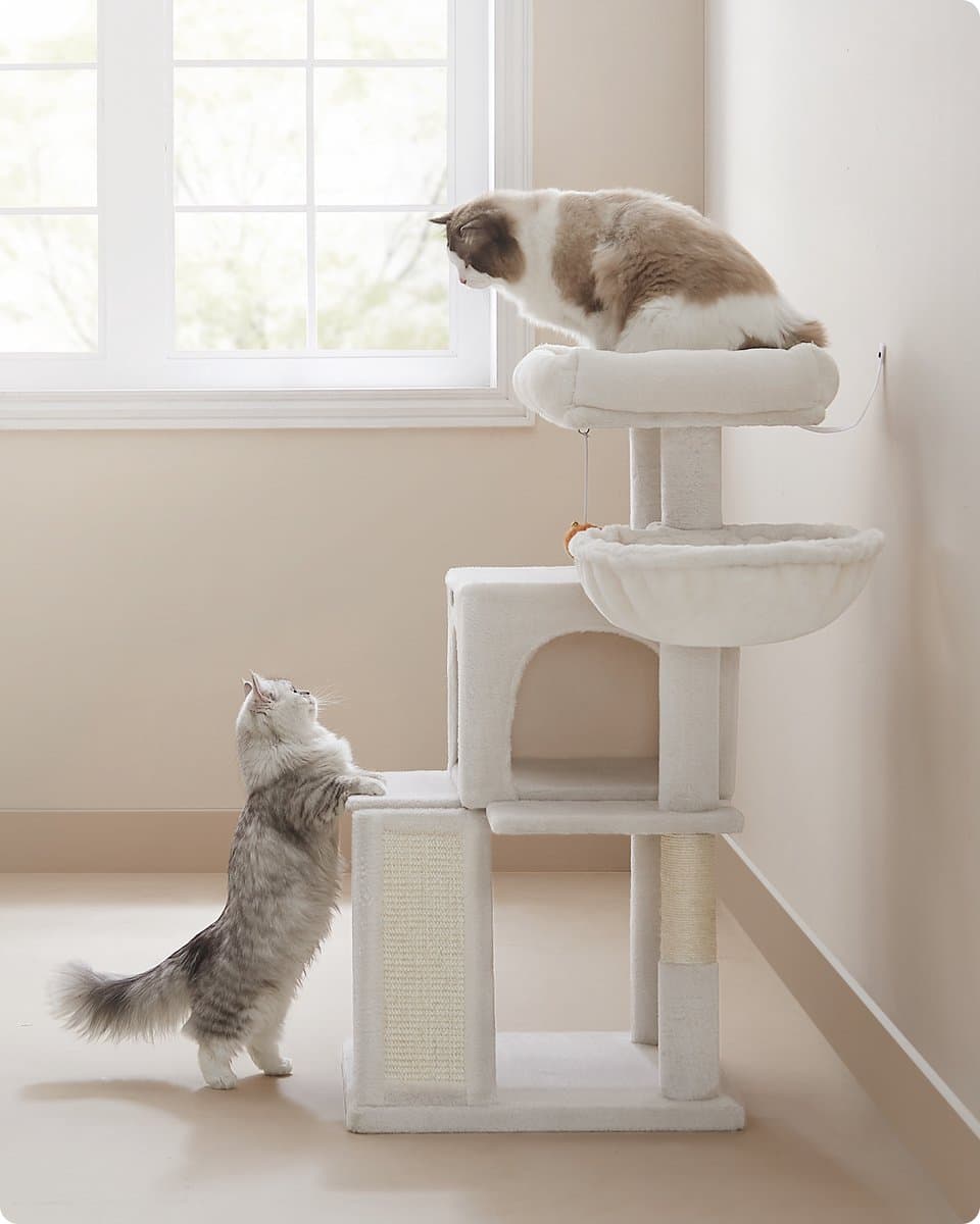 Feandrea - Krabpaal - Kattenboom - Voor Katten - Groot Platform - Stevig en Comfortabel thumbnail 5