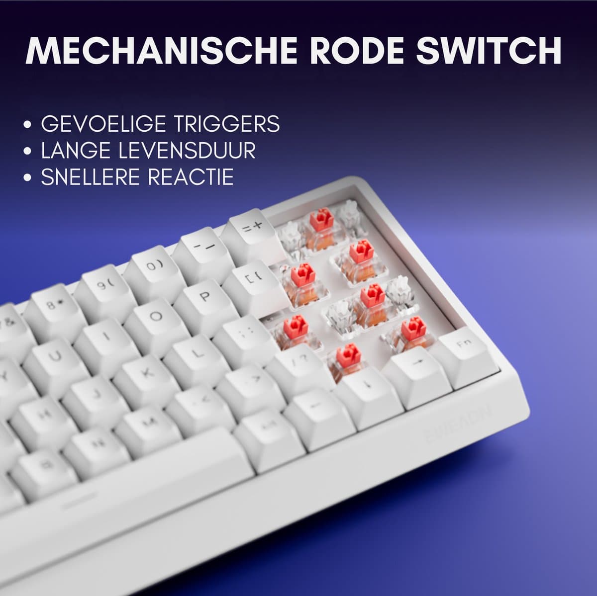 EWEADN DK63 60% Mechanisch - Rood, Draadloos, RGB thumbnail 3