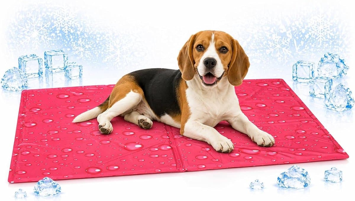 Koelmat hond - koelmat kat - M - 70x50 cm - Drop Fuchsia - zelfkoelende mat voor honden en katten - verkoelende zomer mat