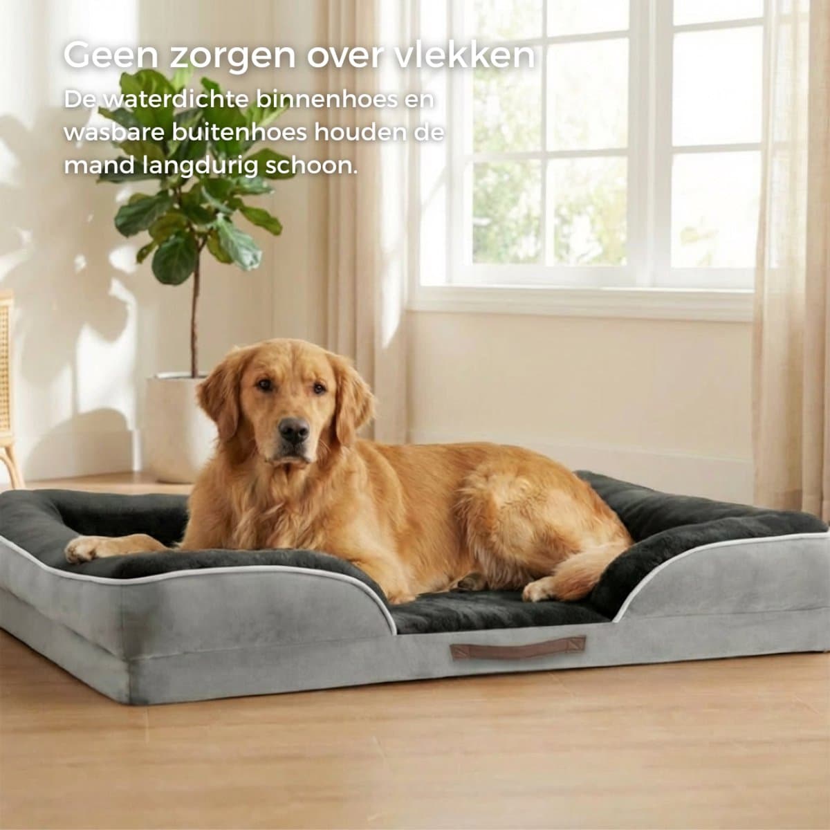 HomeBlend Orthopedische hondenmand 121 x 89 cm - Hondenmand XXL - Voor Extra Grote Honden - Hondenmand Grote Honden - Stevige Hondenmand thumbnail 6