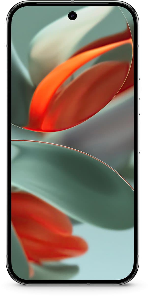 Google Pixel 9 Pro XL 256GB thumbnail 5