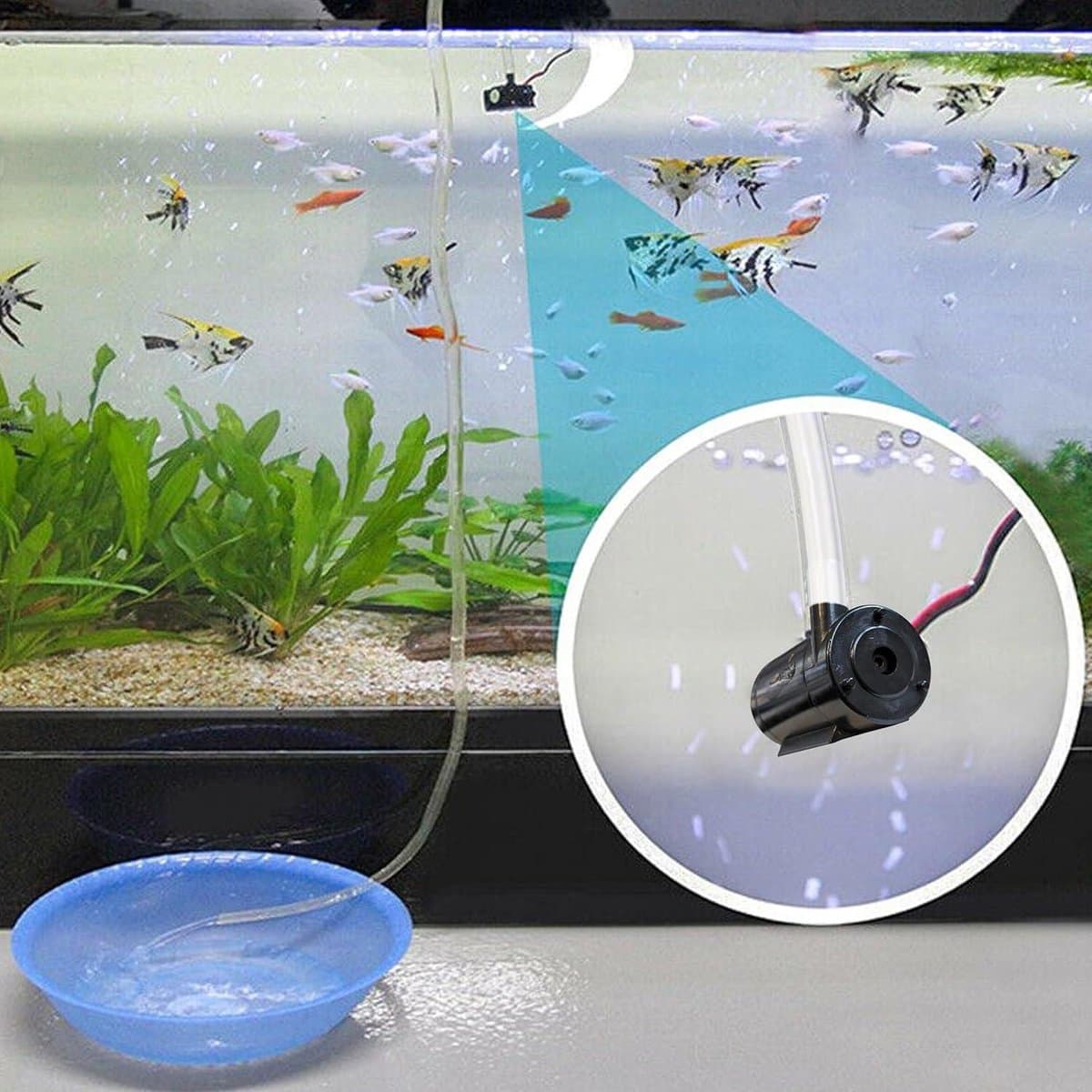 Mini-waterpomp ultra stil kleine dompelpomp - aquariumpomp voor aquaria vijver - hydrocultuur fonteinpomp - netsnoer - tuin fontein standbeelden - hydrocultuursysteem - 80 liter fonteinpomp thumbnail 7