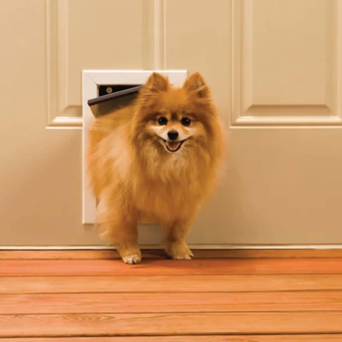 Petsafe 600 Kattenluik Aluminium - Wit thumbnail 4