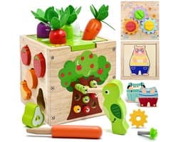 Kraftverdia 5-in-1 Activiteitenkubus