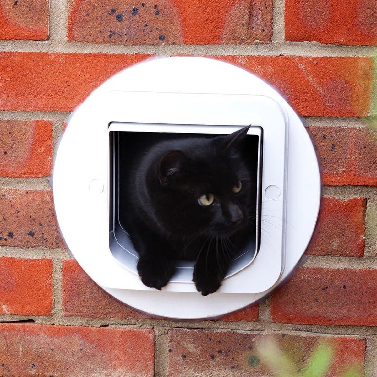 Microchip Tunnel Extension for Cat Flap - Fits SureFlap - Cat Flap Connect - DualScan Microchip Cat Flap - Wall Installation Accessory White thumbnail 2