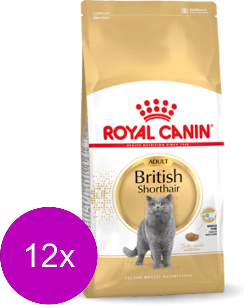 Royal Canin British Shorthair Adult - Voer voor sterkere spieren thumbnail 6