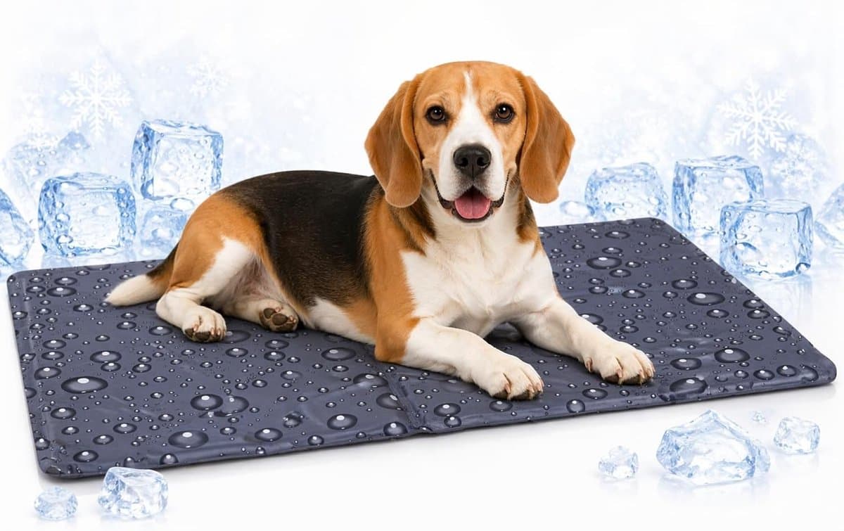 Koelmat hond - koelmat kat - M - 70x50 cm - Drop Grijs - verkoelende zomer mat met gel en schuim - waterdicht