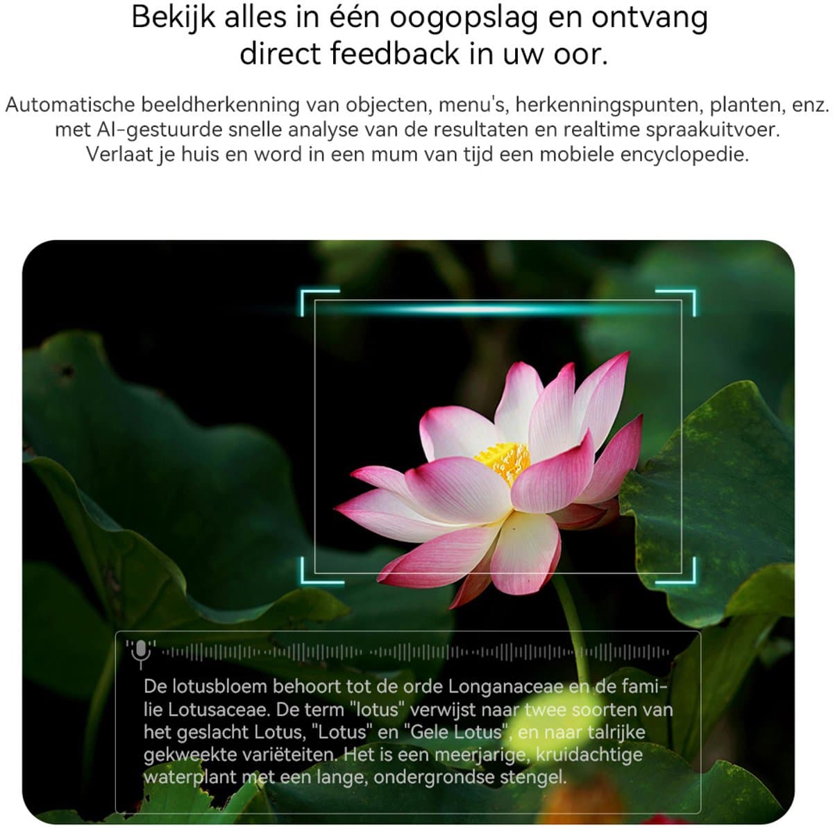 Blackview BV100 Smart Glasses - Slimme bril met camera - Spraakgestuurde AI-assistent - Bluetooth-bellen, vertaling, objectherkenning - BT 5.4 - 32GB - 220 mAh - Transparant thumbnail 7