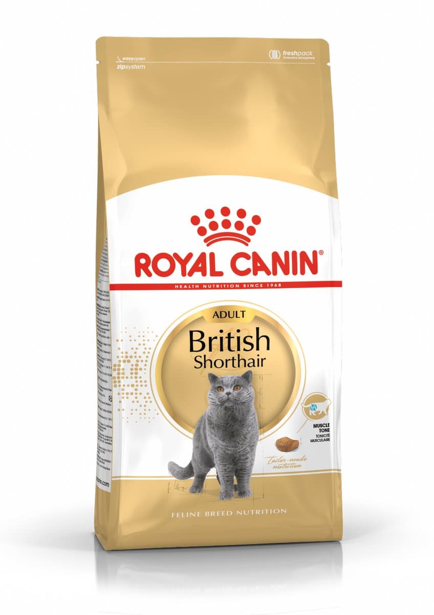 Royal Canin British Shorthair Adult: Speciaal kattenvoer voor sterke spieren thumbnail 7