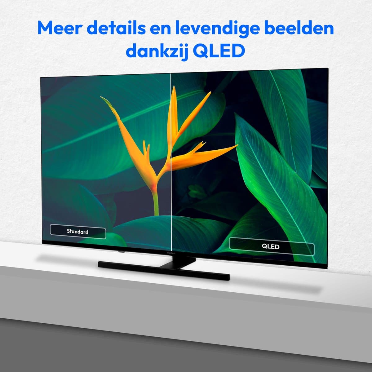 MEDION TV 125,7 cm (50 inch) QLED (Google TV, 4K, Dolby Vision HDR, Netflix, Prime Video, Disney+, Dolby Atmos, DTS X, Smart TV, PVR, Bluetooth, MD 850700) thumbnail 5