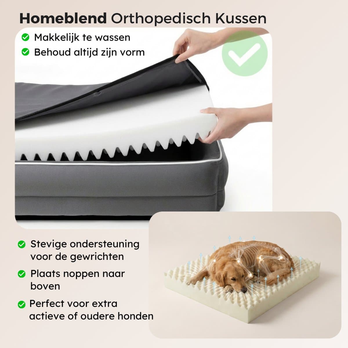 HomeBlend Orthopedische hondenmand 121 x 89 cm - Hondenmand XXL - Voor Extra Grote Honden - Hondenmand Grote Honden - Stevige Hondenmand thumbnail 2
