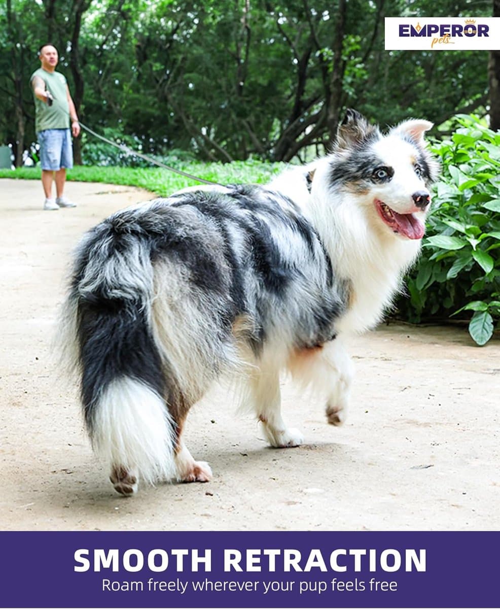 Intrekbare hondenriem 26ft voor grote honden - Zware belastbare hondenriem tot 110 lbs thumbnail 4