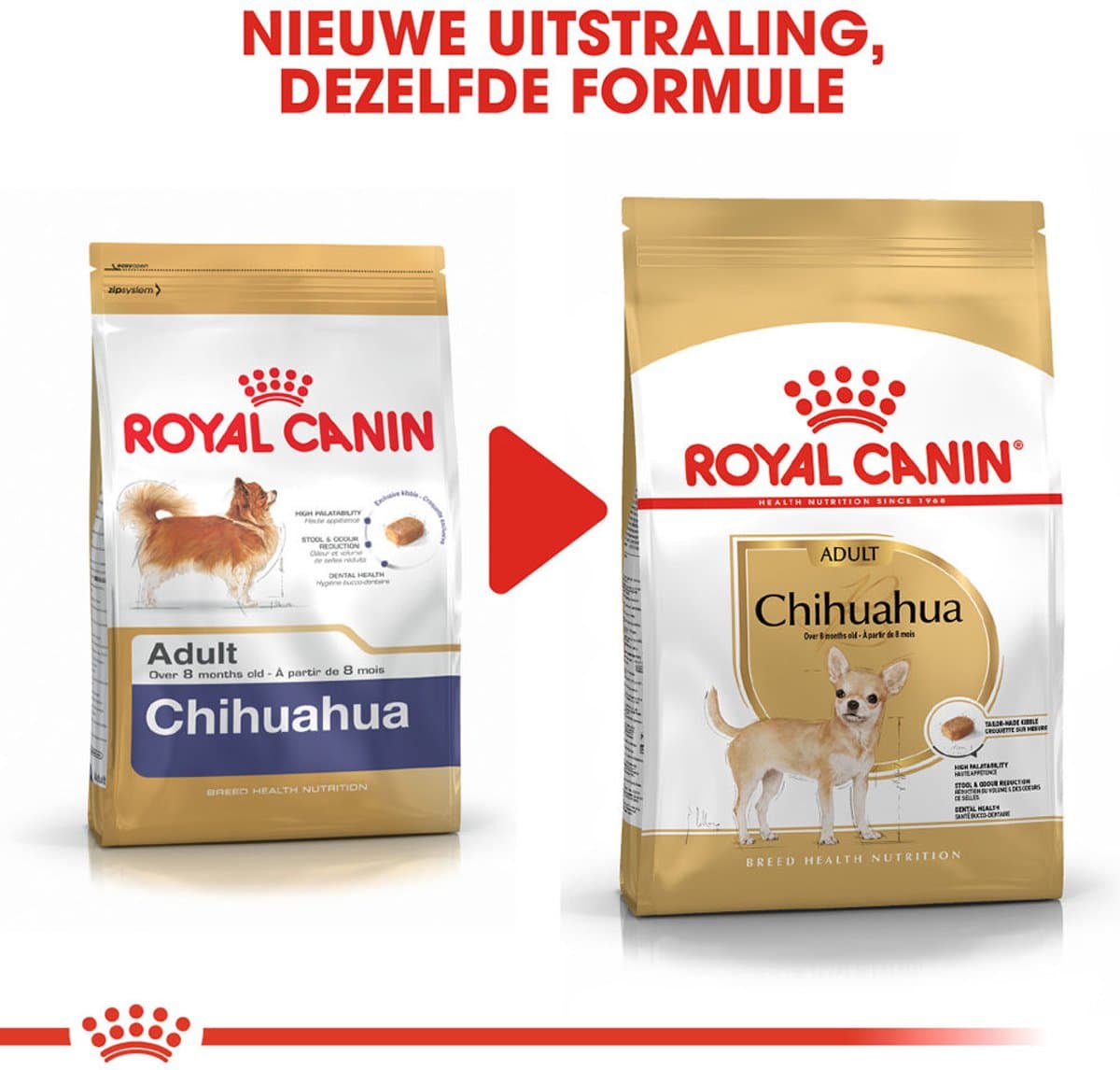 Royal Canin Chihuahua Adult 3kg - Tandsteenreductie thumbnail 2