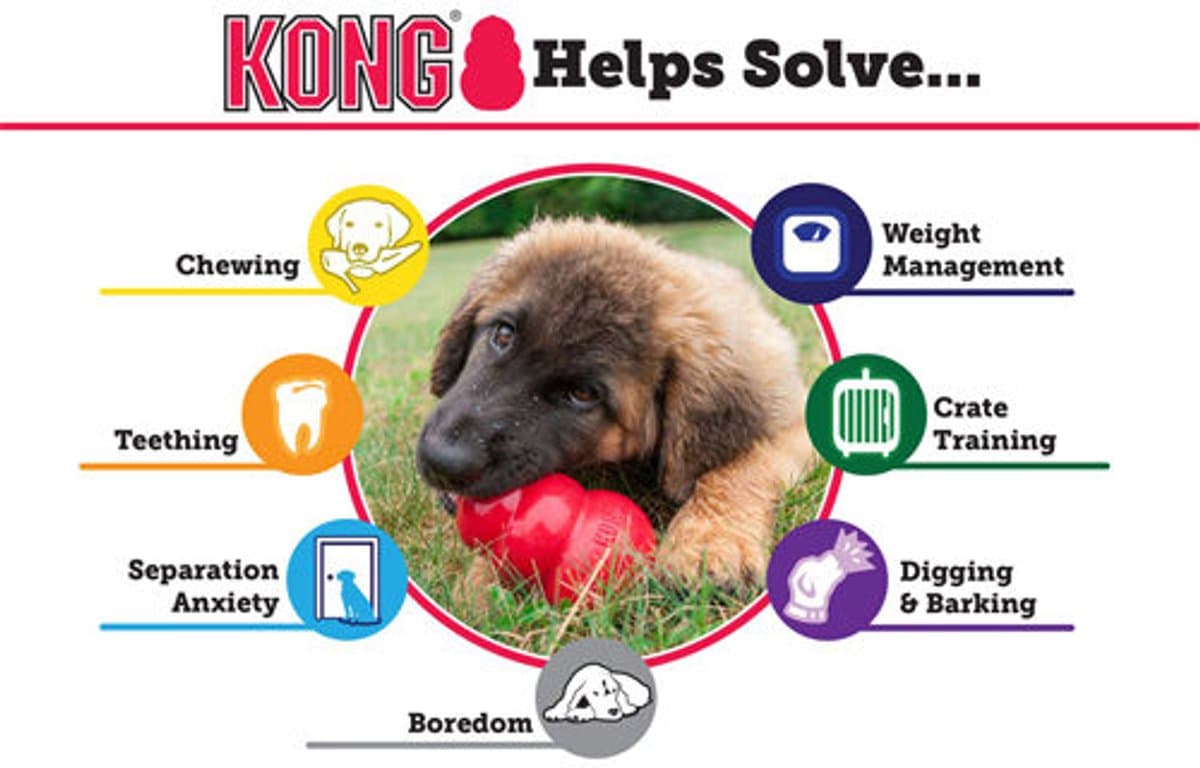 KONG Classic - Snackbal Honden Speelgoed - Rubber - 7.6 cm - Rood - Maat S thumbnail 6