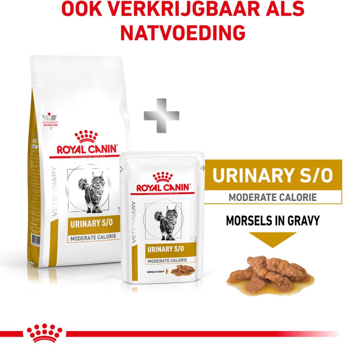 Royal Canin - Kattenvoer Droog Urinary S/O Moderate Calorie - 3 x 3,5 kg thumbnail 4