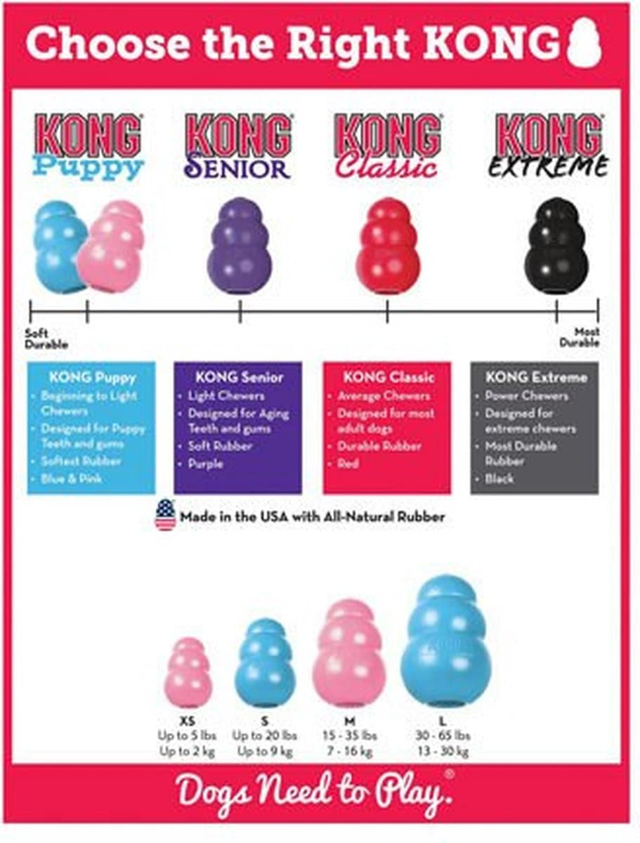 Kong Puppy - Blauw - L thumbnail 2