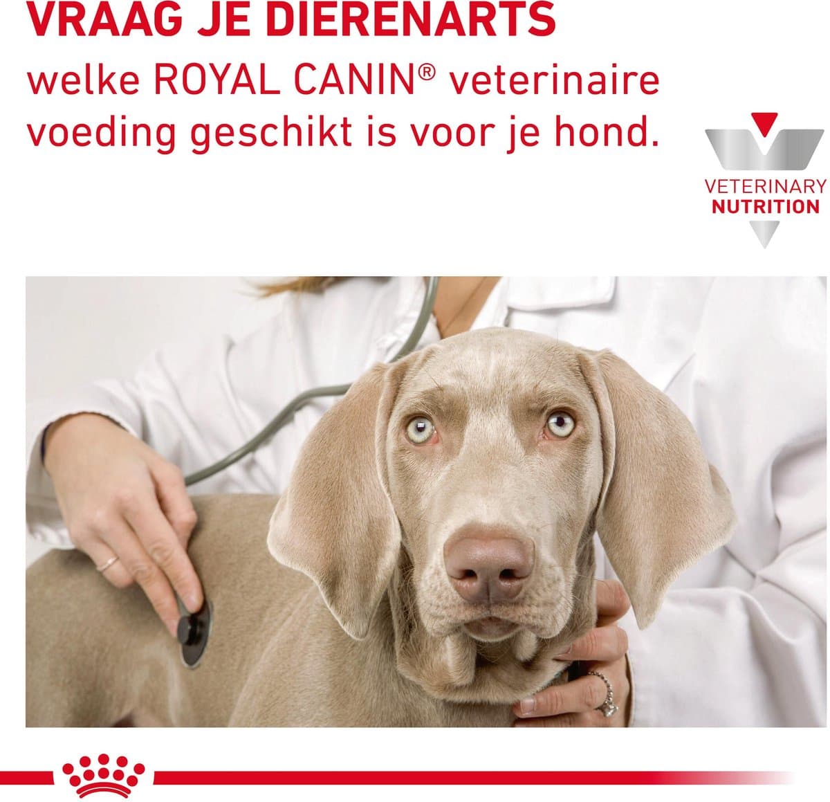 Royal Canin Gastro Intestinal Low Fat Small Dogs - 8 kg thumbnail 3