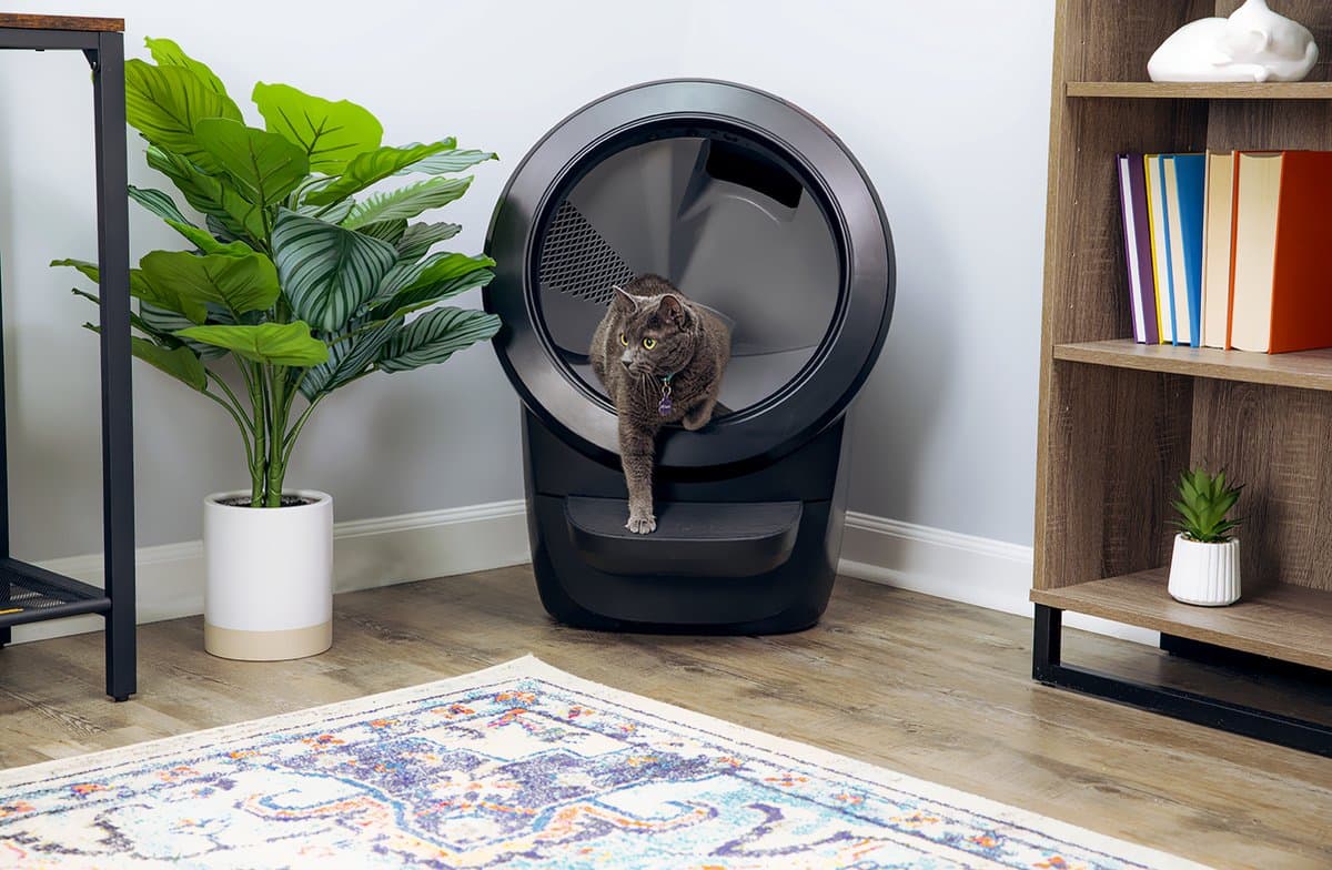 Litter-Robot 4: Automatische kattenbak met Whisker app thumbnail 3