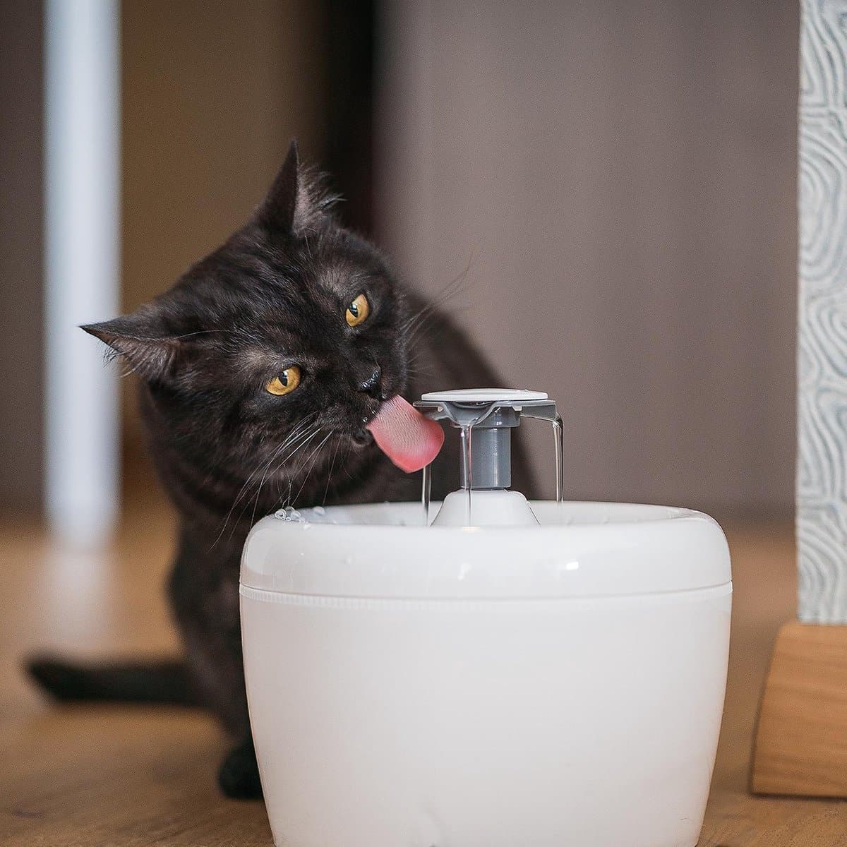 TrevoPet® Drinkfontein Kat - Waterfontein Kat - Kattenfontein - Fluisterstil - Drinkfontein - Drinkbak Kat - 2.5 Liter - Inclusief Filter - Wit thumbnail 6