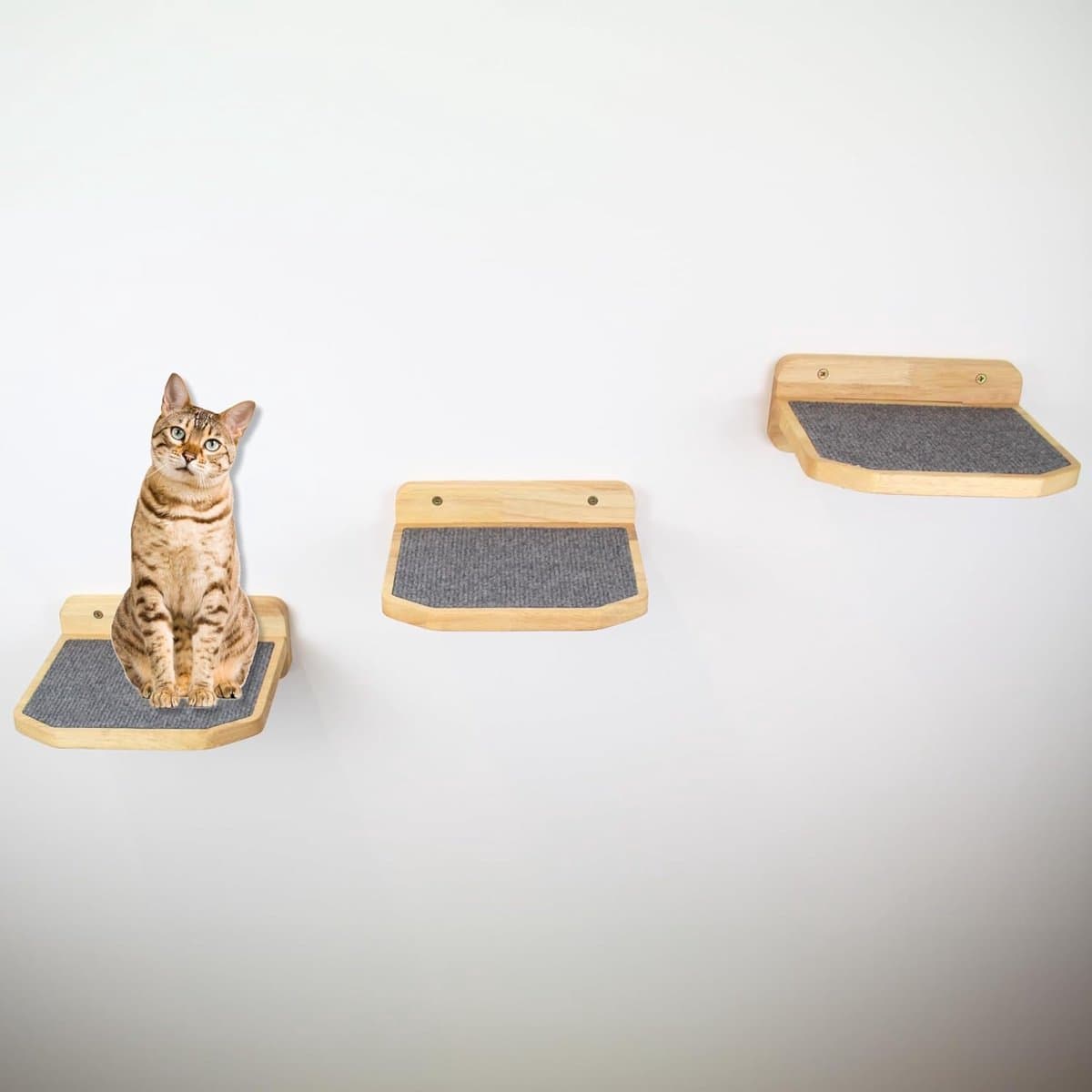 Kattentrap, 3-delige set, groot, klimwand voor katten, kattenladder muur [modern design van hout] | kattentrap voor muur | kattenladder | kattenmeubel om te klimmen (donkergrijs)